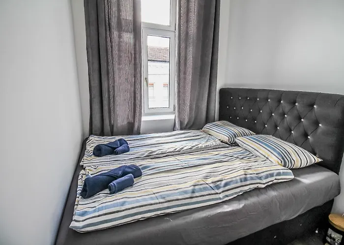 Disc Cozy In Liesing